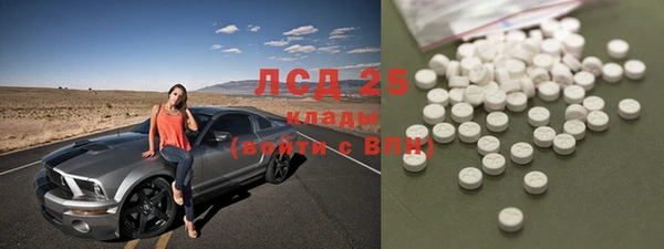 шишки Алзамай