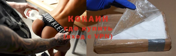 мет Алексин
