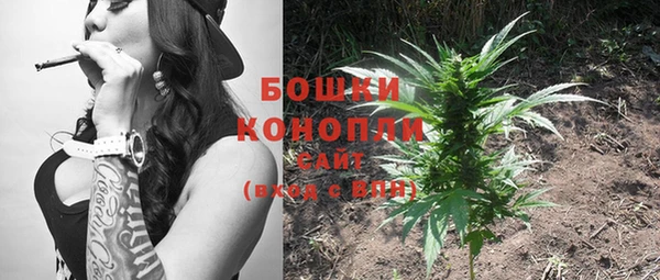 шишки Алзамай