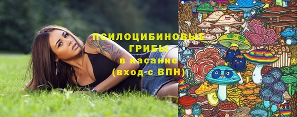 мет Алексин