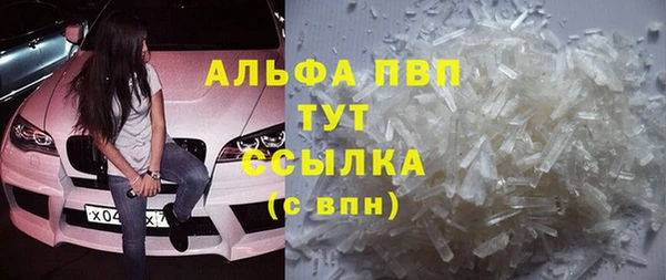 шишки Алзамай