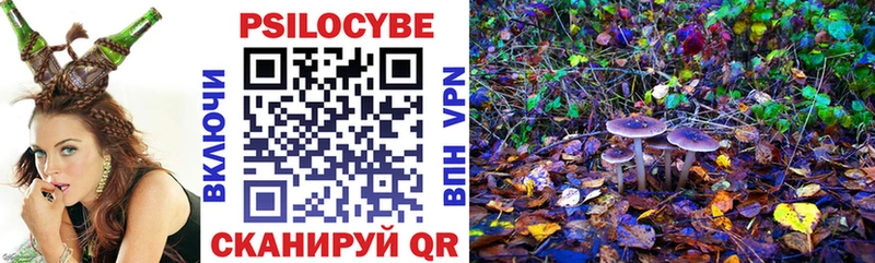 Галлюциногенные грибы Magic Shrooms  где купить   Сухой Лог 