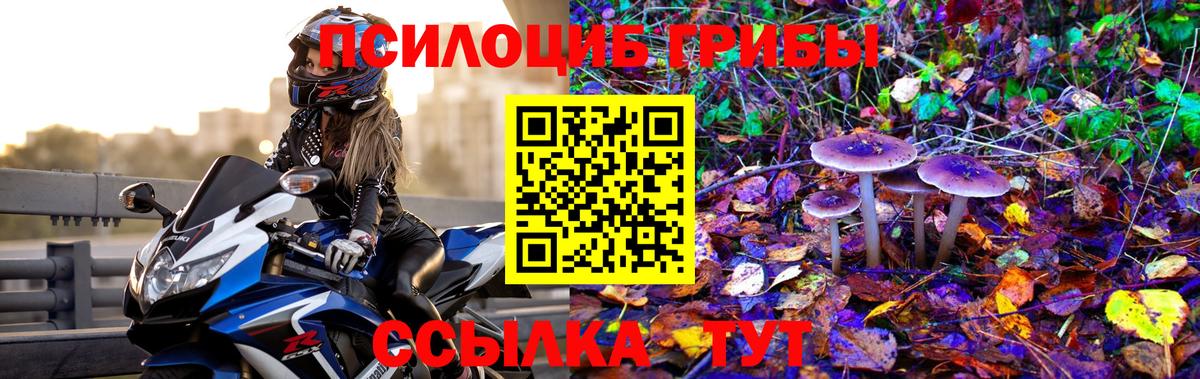 Псилоцибиновые грибы Cubensis Сухой Лог