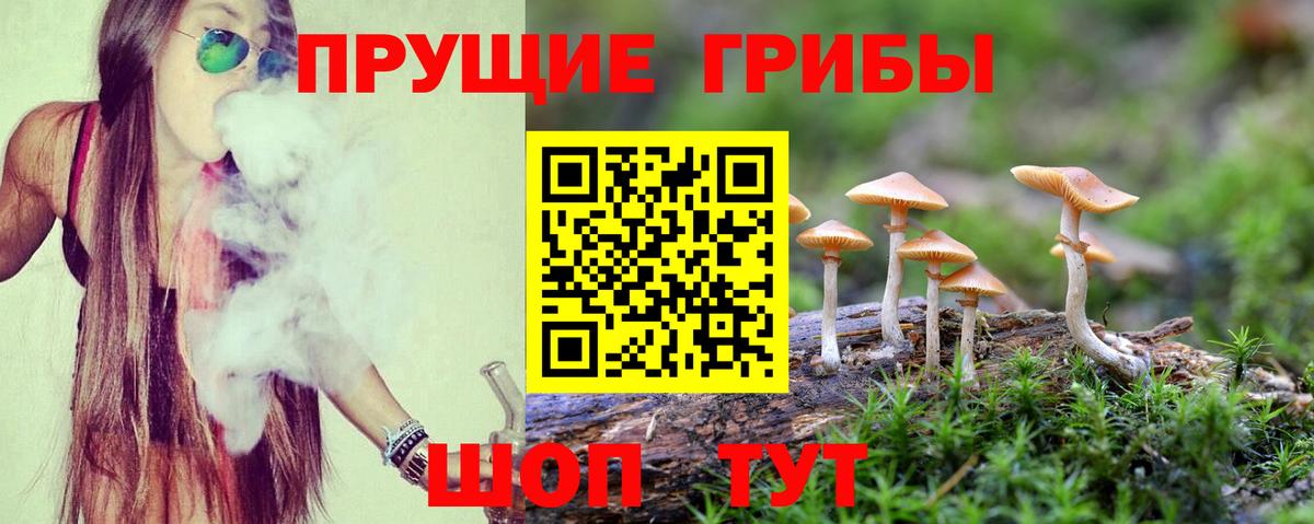 Сухой Лог  Галлюциногенные грибы Cubensis  Вход с VPN 